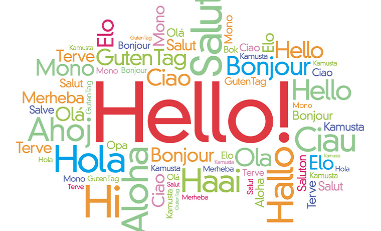 English-Speaking Driver Service